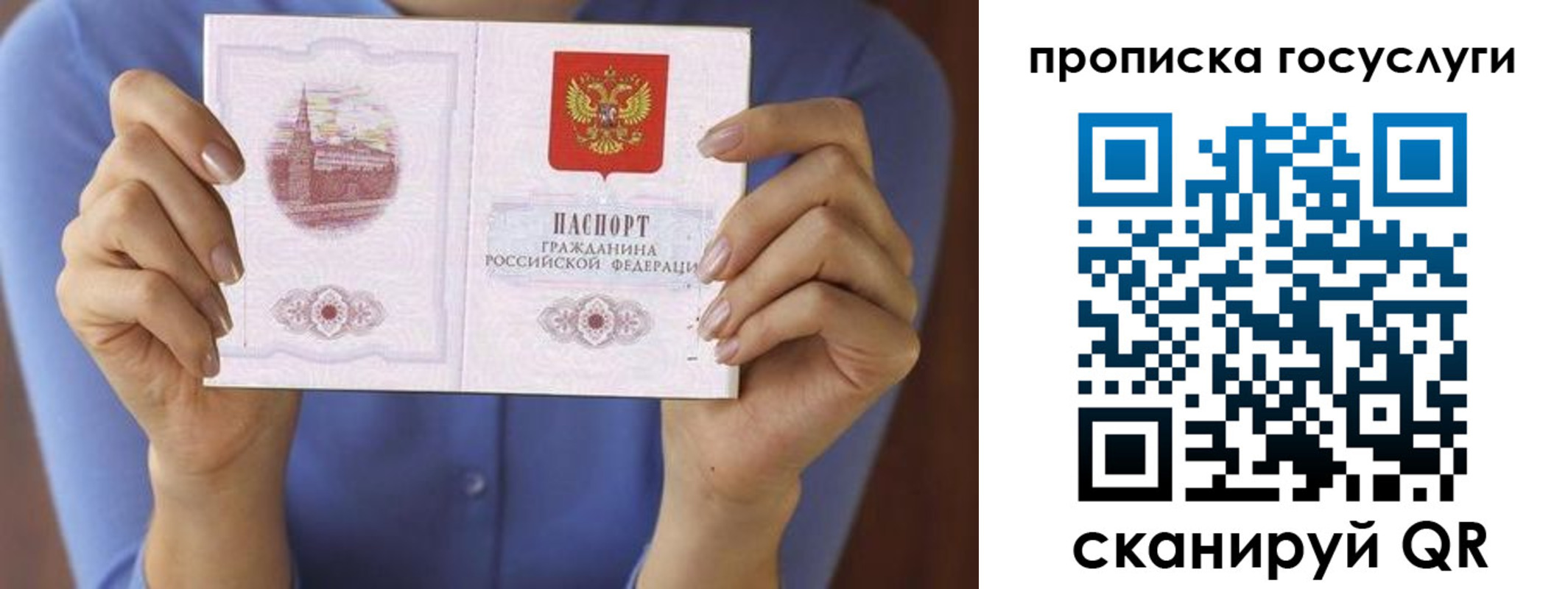 временная регистрация поиск в Россоши